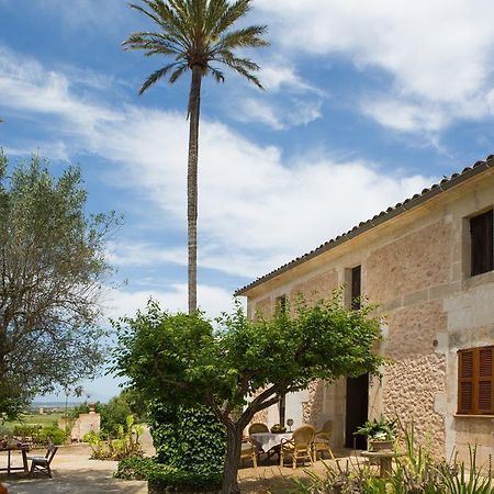 Agroturismo Es Pla De Llodra Manacor  Exterior photo