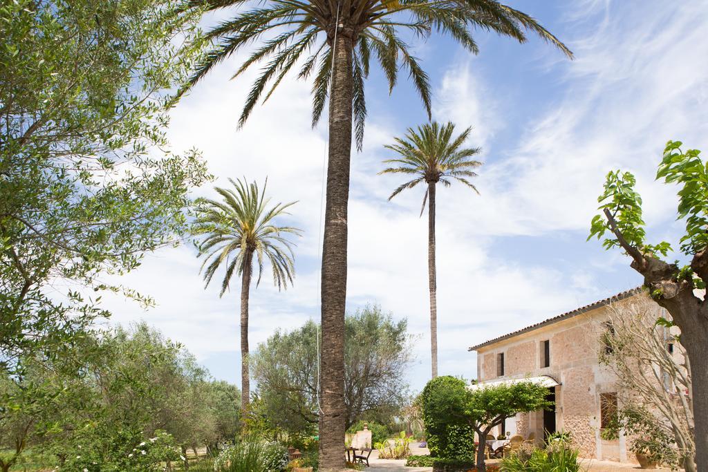 Agroturismo Es Pla De Llodra Manacor  Exterior photo