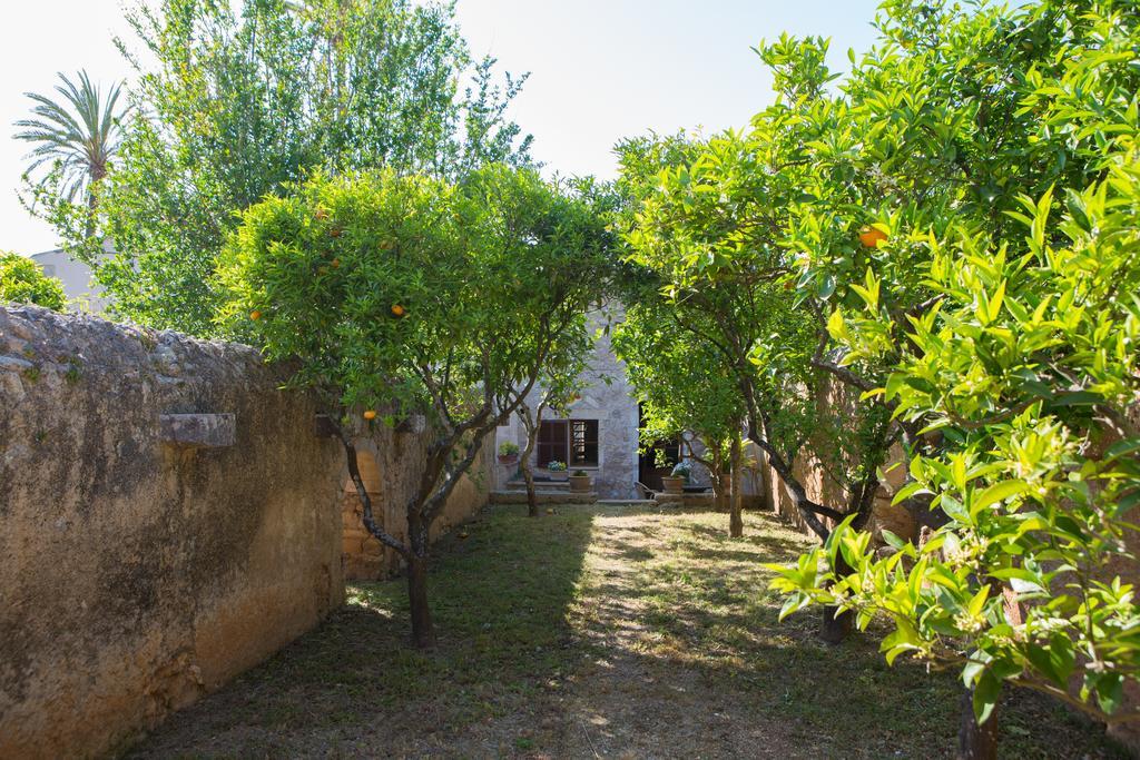 Agroturismo Es Pla De Llodra Manacor  Room photo